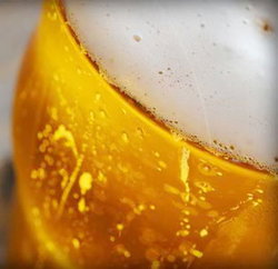 Palm Cove Tavern - Tourism Adelaide 3