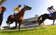 Wyong Race Club - thumb 0