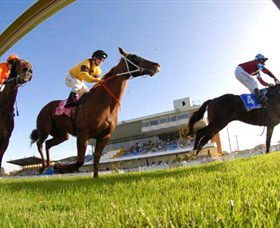 Wyong Race Club - Tourism Adelaide 0