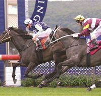 Gosford Race Club - Tourism Adelaide