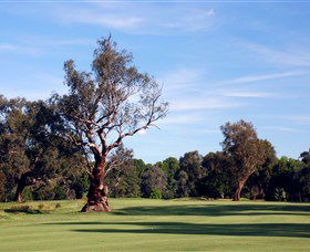 Corowa Golf Club - Tourism Adelaide 5