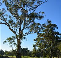 Ryde-Parramatta Golf Club - Tourism Adelaide