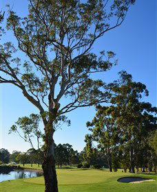 Ryde-Parramatta Golf Club - Tourism Adelaide 0