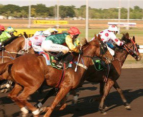 Darwin Turf Club - Tourism Adelaide 1