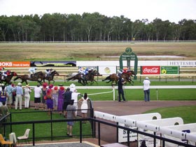 Pinjarra Race Club - Tourism Adelaide 0