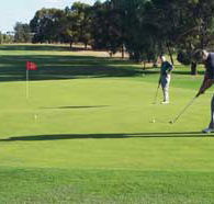 Waikerie Golf Club - Tourism Adelaide