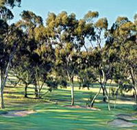 Tanunda Pines Golf Club - Tourism Adelaide