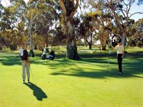 Tanunda Pines Golf Club - Tourism Adelaide 1