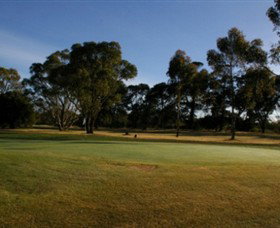 Rsl Clubs Winchelsea VIC Tourism Adelaide