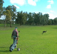 Coffin Bay Golf Club - Tourism Adelaide