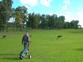 Coffin Bay Golf Club - Tourism Adelaide 0