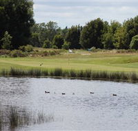 Llanherne Golf Club - Tourism Adelaide