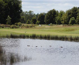 Llanherne Golf Club - Tourism Adelaide 0