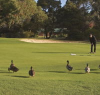 Royal Hobart Golf Club - Tourism Adelaide