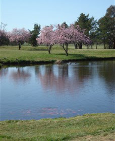 RMC Golf Club - Tourism Adelaide 0