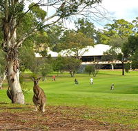 Pambula Merimbula Golf Club - Tourism Adelaide