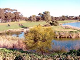 Maitland Golf Club Incorporated - Tourism Adelaide 1