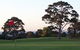 Mornington Golf Club - thumb 4