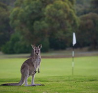 Anglesea Golf Club - Tourism Adelaide