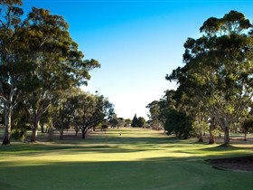 Loxton Golf Club - Tourism Adelaide 0