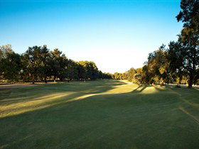 Loxton Golf Club - Tourism Adelaide 2