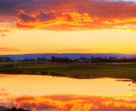 Lynwood Country Club - Tourism Adelaide 3