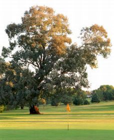 Cowra NSW Tourism Adelaide