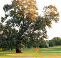 Cowra Golf Club - Tourism Adelaide
