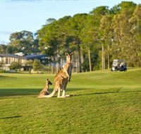 Sanctuary Cove Golf and Country Club - Tourism Adelaide