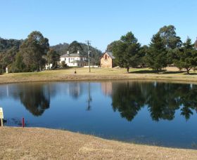 Razorback NSW Tourism Adelaide