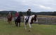 Horse Riding At Oaks Ranch And Country Club - thumb 2