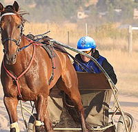 Ballarat  District Trotting Club - Tourism Adelaide