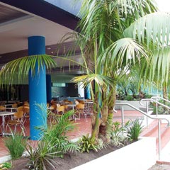 Club Forster - Tourism Adelaide 0
