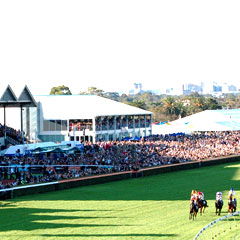 Morphettville SA Tourism Adelaide