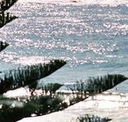 Bondi Social - Tourism Adelaide