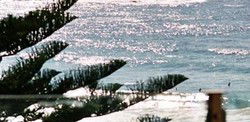 Bondi Social - Tourism Adelaide 0