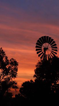 Emerald Springs Roadhouse - Tourism Adelaide 5