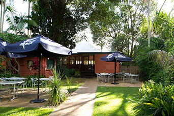 Maleny Hotel - Tourism Adelaide 2