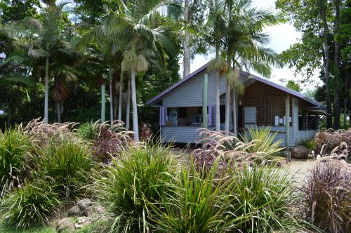 Wongaling Beach QLD Tourism Adelaide