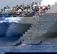 MoonshadowTQC Cruises - Tourism Adelaide