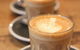 The Grilled Gecko Cafe - thumb 4