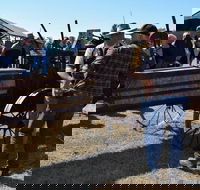 19th Annual Old Wheels In Motion Rally - Tourism Adelaide