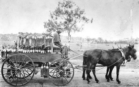 A Tale Of Two Villages - An Exhibition - Tourism Adelaide 1