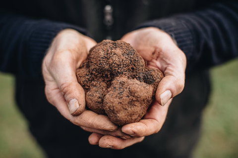 A Taste Of Truffles - Tourism Adelaide 0