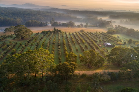 A Taste Of Truffles - Tourism Adelaide 1