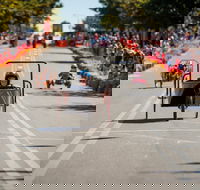Australian Billy Cart Championships - Tourism Adelaide