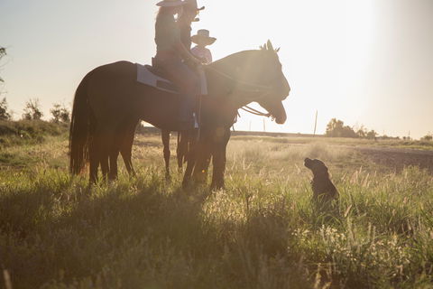 Balonne Cutting Horse Futurity - Tourism Adelaide 0