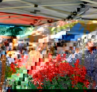 Ballina Missingham Farmers Market - Tourism Adelaide