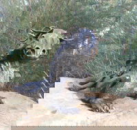 Bathurst Arts Trail - Tourism Adelaide