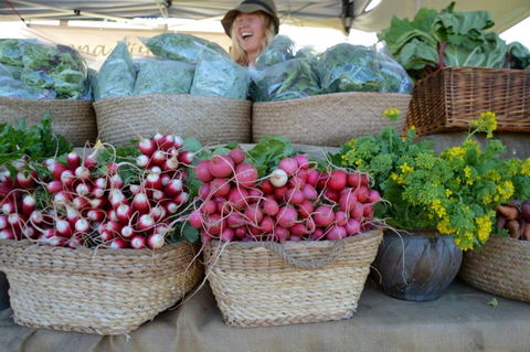 Berry Farmers' Market - Tourism Adelaide 0